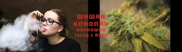 молекула духа Инсар