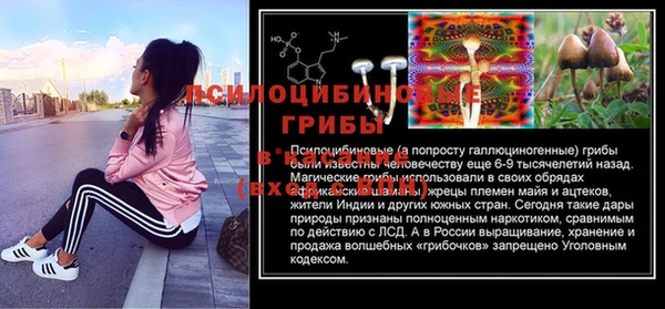 амф Инта
