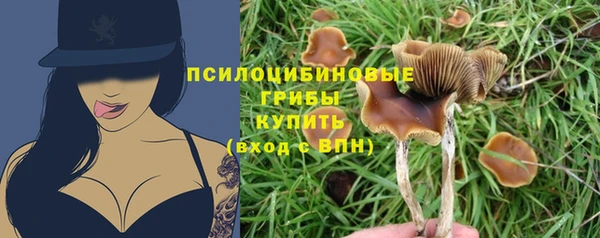молекула духа Инсар