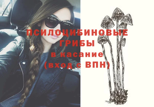 молекула духа Инсар