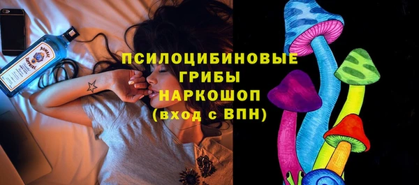 молекула духа Инсар