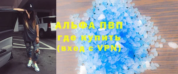 амф Инта