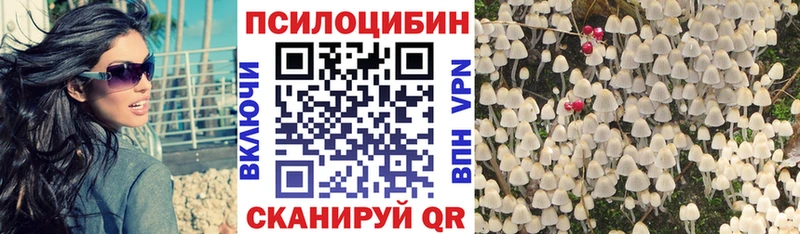 Купить закладки  Горячий Ключ  Псилоцибиновые грибы Cubensis 